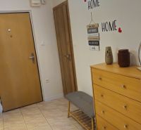 A hallway in a 2-room apartment with a dresser, a mirror, and decorations on the wall.