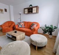 Living room of a two-room apartment with an orange sofa, a plant, and a wooden-decor floor.