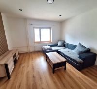 Living room in a two-room apartment with wooden flooring, a sofa, and a TV stand.