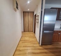 A hallway with a built-in wardrobe and kitchen in a 2-room apartment, wooden floor, light walls.
