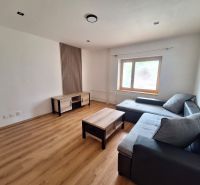 Living room with a corner sofa and wooden furniture in a 2-room apartment.