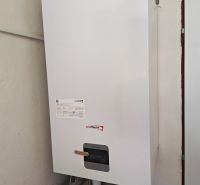 A wall-mounted gas boiler Protherm in the utility room of a family house.