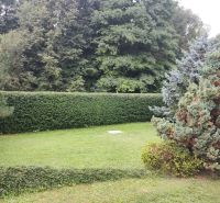A garden at a family house in Trebostovo with a hedge and lawn.