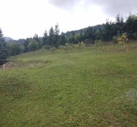 A garden with a view of the forest and slope around a family house in Trebostovo.