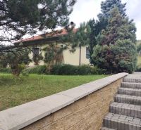 A family house in Trebostovo with greenery and a staircase made of concrete blocks.