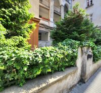 Garden with climbing plants and trees at Jakubovo Square in Bratislava, Old Town.