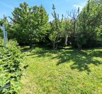 The garden of a family house on Devátova Street in Sládkovičovo with tall trees and shrubs.