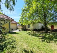 The garden in front of the family house on Devátova Street in Sládkovičovo with a large tree and a lawn.