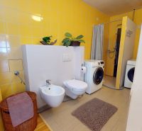 A bathroom in a family house with a washing machine, bidet, yellow tiles, and a plant on the shelf.