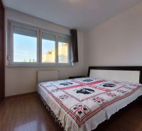Bedroom in a 2-room apartment with wood-patterned flooring and a large window.