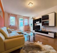 Living room in a two-room apartment with a leather sofa, glass table, and floor decor.