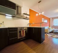 Kitchen and living room in a 2-room apartment with a wooden decor floor, orange wall.