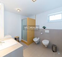Bathroom in a family house with a shower, sink, and toilet.