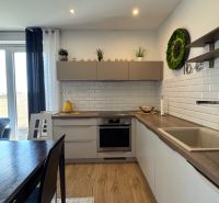 Malý Lapáš Family house Sale reality Nitra