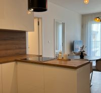 Nitra One bedroom apartment Rent reality Nitra