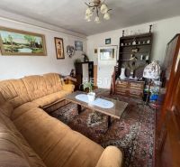 Living room in a family house with a brown sofa, carpet, and decorative paintings on the walls.