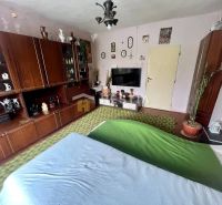 A living room in a family house with antique furniture and decorations, a floor with a wooden decor.