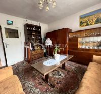 A living room in a family house with a carpet, furniture, and a painting of sunflowers.