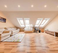 Attic living room with a beige sofa, wood-patterned flooring, and skylights.