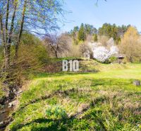 Greenery and stream on residential plots on Obrancov Mieru Street in Banská Štiavnica.