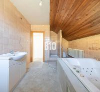A bathroom in a family house with a bathtub, tiles, and a wooden ceiling.