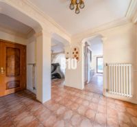 A hallway in a family house with a decorated ceiling and brown doors.