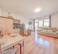 Interior of a 2-room apartment with a wooden decor floor, sofa, and dining table.