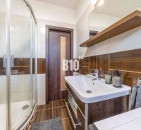 The bathroom in the two-room apartment has a shower and a cabinet with a sink.