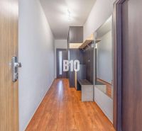 A narrow hallway with a mirror and a wooden decor floor in a 2-room apartment.