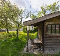 A garden with a wooden cottage surrounded by trees on a plot in Dunajská Lužná for living.
