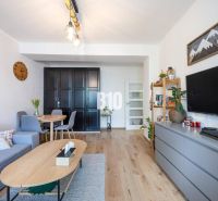 Living room with wood-patterned flooring, a television, and a dining table in a 2-room apartment.