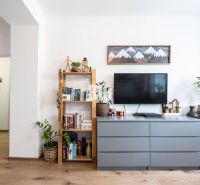 The living room in a two-room apartment contains a dresser, a bookshelf with books, and plants.