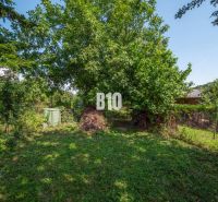 Greenery on a residential plot in Bratislava IV, Jadranská, surrounded by trees and shrubs.
