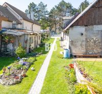 Garden with flower planting in the area of Plots - housing on Jadranská Street, Bratislava IV.
