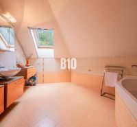 A family house space with two sinks, a bathtub, a skylight, and orange details.