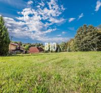 A family house in Marianka surrounded by greenery, with a lawn and trimmed trees.