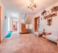 A hallway in a family house with a wooden staircase, furniture, and hunting trophies on the wall.