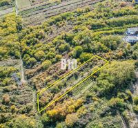 Aerial view of gardens in Bratislava III with extensive green vegetation.