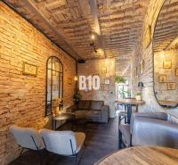 Library with a sofa and chairs, brick walls, wood-patterned floor.