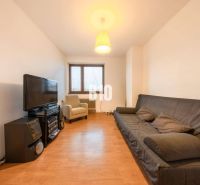 Living room in a family house with a sofa, TV, and floor with wood decor.