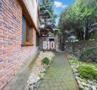A family house in Štvrtok na Ostrove with a brick facade and a stone path in the garden.
