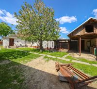 The garden of a family house in Kalinkovo with a lawn, trees, and a utility building.