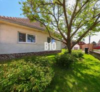 A family house in Kalinkovo with a front garden full of greenery and a tree.