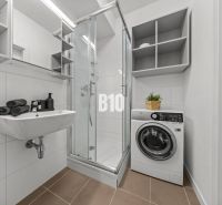Bathroom with a sink, shower, and washing machine in a studio apartment.