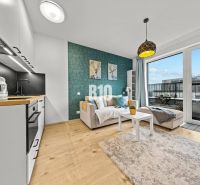 Living room with a kitchenette and a balcony in a studio apartment.