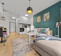Living room with a kitchenette, sofa, blue wall, and wood-patterned flooring.