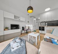 Living area of a studio apartment with a wood-patterned floor and a kitchenette.
