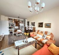 Living room in a 3-room apartment with a wooden decor floor, a carpet, and a comfortable couch.