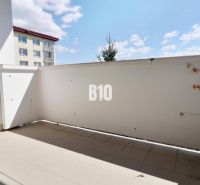 Balcony in a 3-room apartment. Plant in a pot, tiles, partial view of the neighboring building.