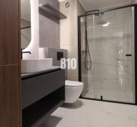 Bathroom in a 2-room apartment with a frameless shower and a sink on a wooden decor.